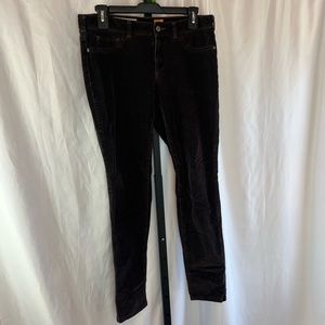 Anthropologie Pilcro and the Letterpress Serif Brown Corduroy Pants, size 29